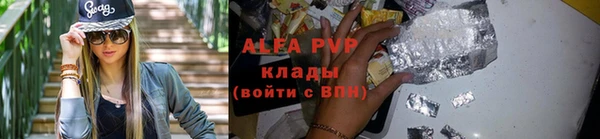 шишки Алексин