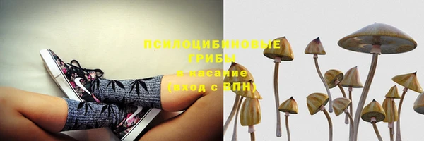 метадон Алексеевка