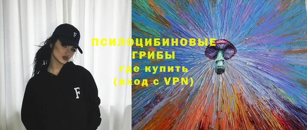 apvp Армянск