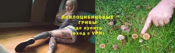 прущие грибы Арсеньев