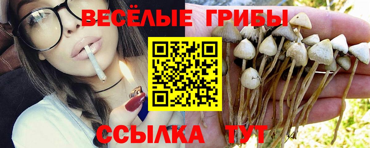Альфа ПВП Сибай
